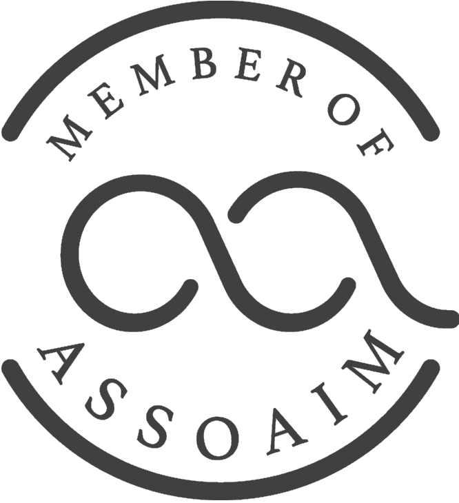 Logo AssoNEXT grigio